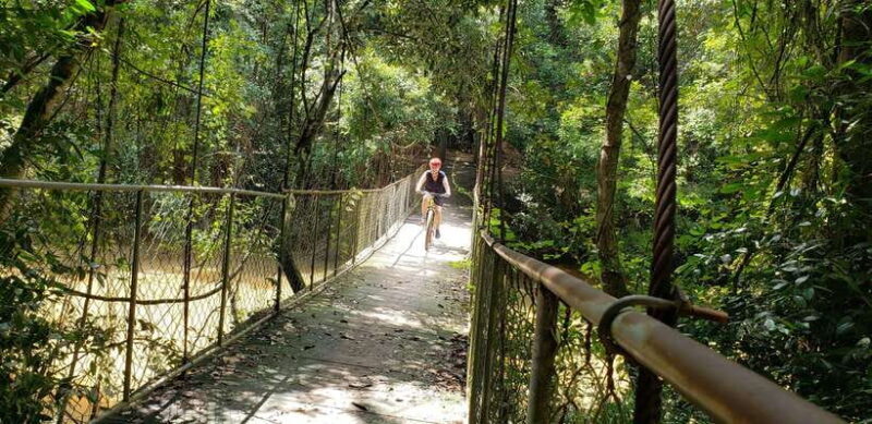 Angkor Jungle Biking Adventure Private Cycling Tour - Why Choose the Angkor Jungle Biking Adventure?