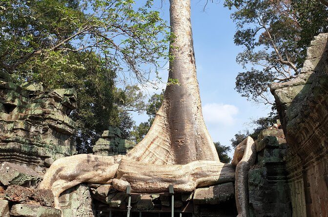 Angkor Wat Full Day Tour in Siem Reap Small-Group - Key Points