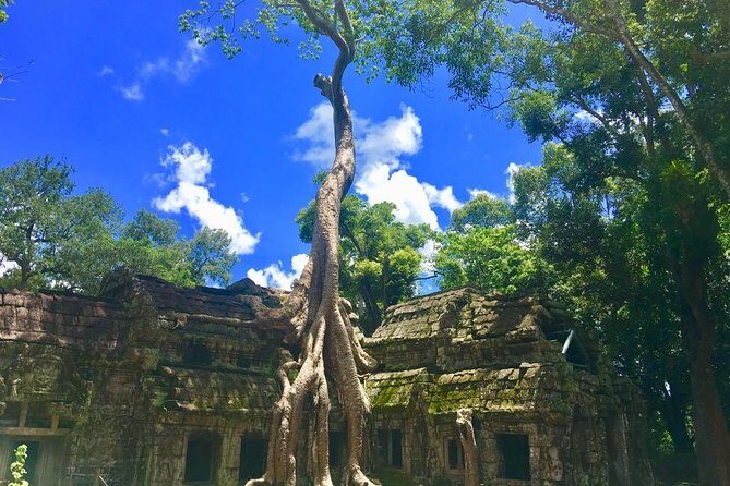 Angkor Wat one Day Private Tour for All Highlight Angkor Temples - Final Thoughts