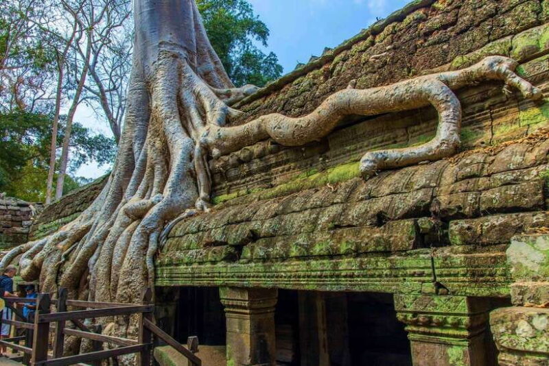 Angkor Wat one Day Private Tour for All Highlight Temples - An In-Depth Look at the Angkor One Day Private Tour