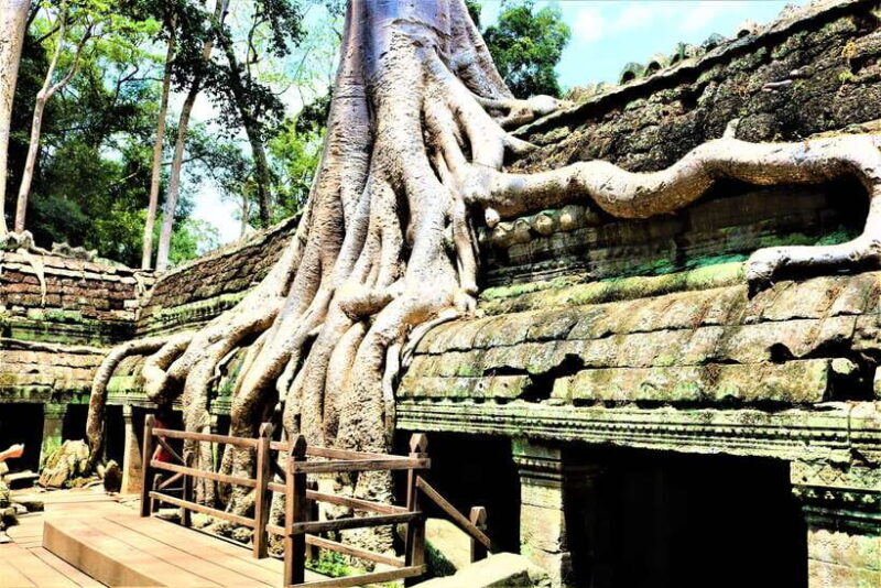 Angkor Wat: Private Sunrise Tour with Champagne Breakfast - Practical Details and What to Expect