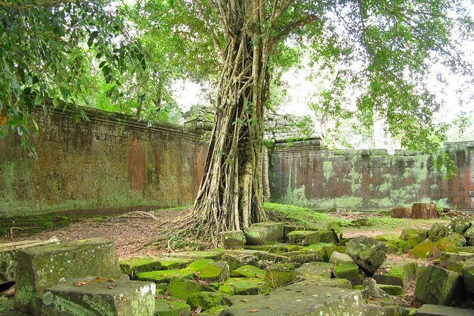 Angkor Wat Private Tour with English Speaking Driver, NO guide - Who Will Love This Tour?