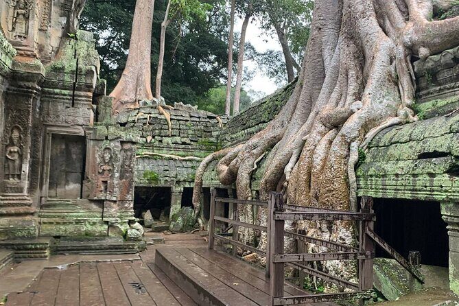 Angkor Wat Sunrise and Tonle Sap Cruise Sunset Tour - Review Highlights & Authentic Traveler Tips