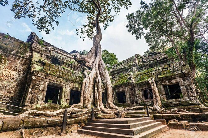 Angkor Wat Sunrise tour with Small - Group and Guide tours - A Deep Dive Into the Tour Experience