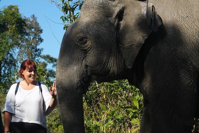 Angkor Wat Temples & Kulen Elephant Forest Day Tour - Key Points