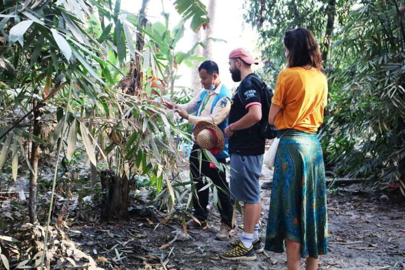 Angkor Wat: Tuk Tuk and Walking Tour - Exploring Angkor Wat: Tuk Tuk and Walking Tour
