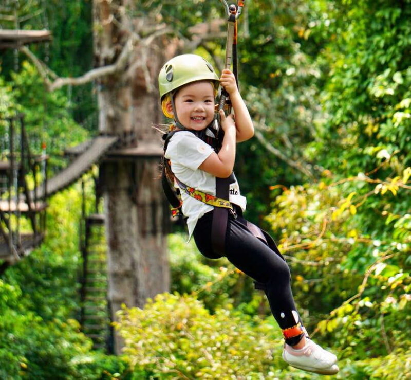 Angkor Zipline Eco-Adventure Canopy Tour - Practical Tips for Your Zipline Adventure