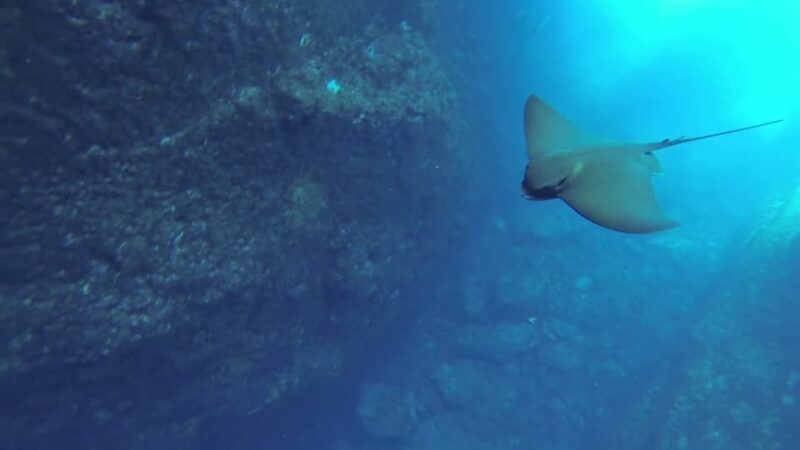 Angra do Heroísmo: Snorkeling Tour by boat - The Experience: What You Can Expect