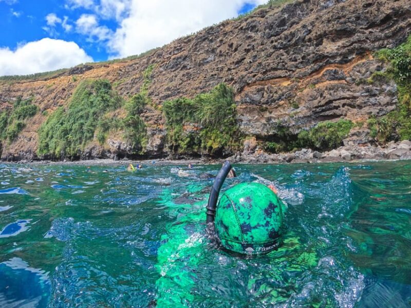 Angra do Heroísmo: Snorkeling Tour by boat - FAQs