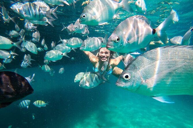 Angra dos Reis and Ilha Grande, Boat Ride from Rio Lunch and Transport - What This Tour Offers: A Deep Dive