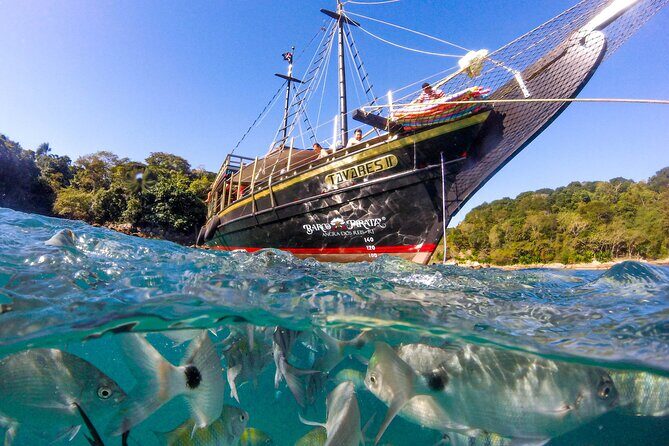 Angra dos Reis and Ilha Grande Boat Tour from Rio de Janeiro - Final Thoughts: Is It Worth Your While?