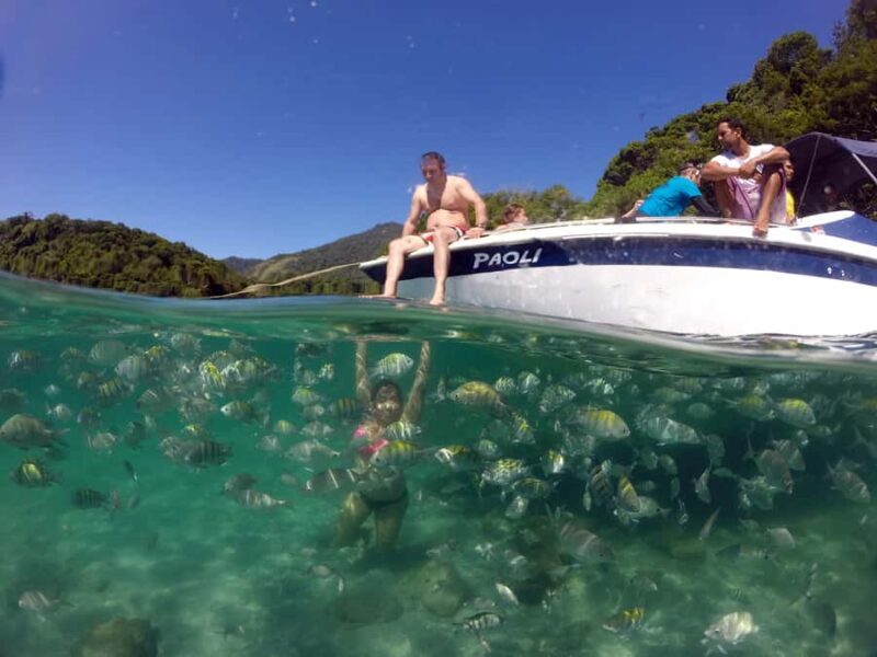 Angra dos Reis and Ilha Grande: Small-Group Fast-Boat Tour - The Experience in Detail
