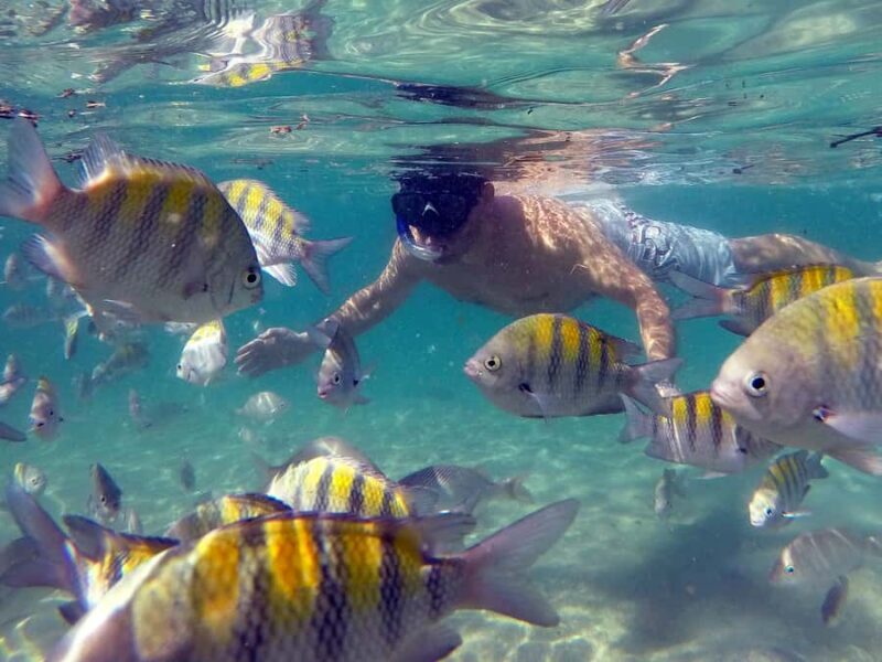 Angra dos Reis and Ilha Grande: Small-Group Fast-Boat Tour - Frequently Asked Questions