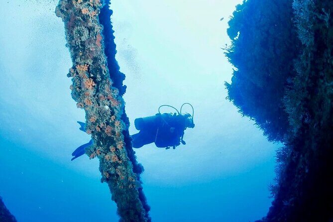 Anguilla Based: 2-Tank Group Dive Experience for Certified Divers - FAQ