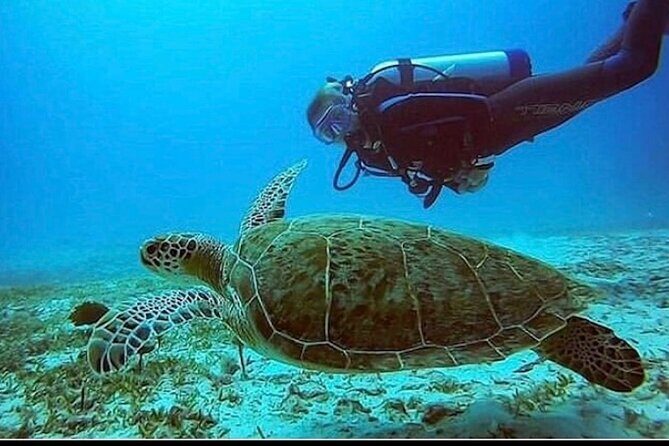 Anguilla Based: PADI Discover Scuba (Introductory Dive) - Exploring the Underwater World in Anguilla: PADI Discover Scuba (Introductory Dive)