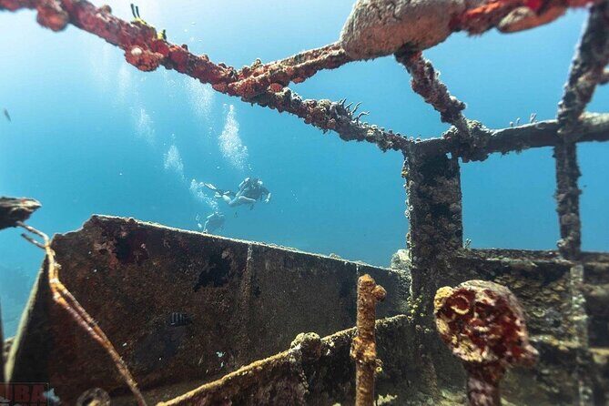 Anguilla Based:Complete your PADI Open Water Dives 3 & 4 with us - Who Is This Tour Best For?