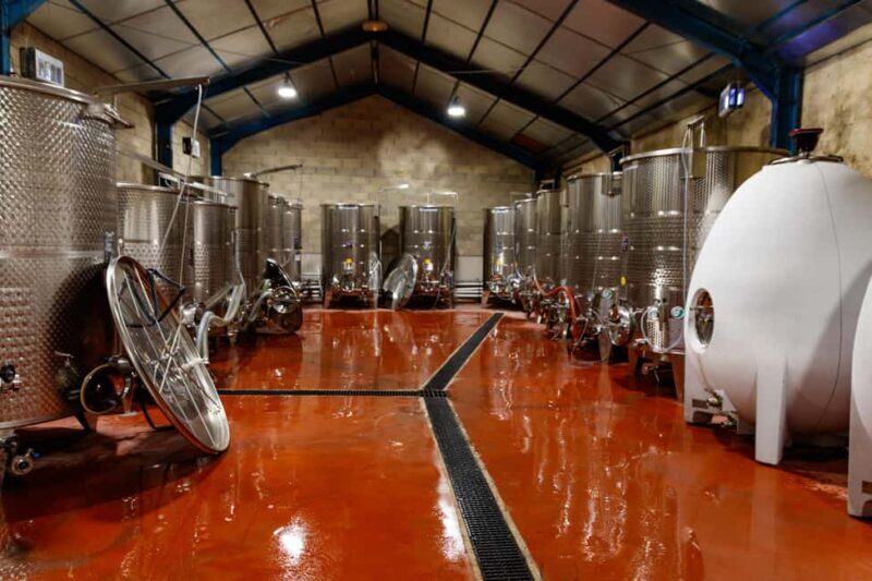 Aniane: Château Capion Wine Tasting Experience - The Sum Up