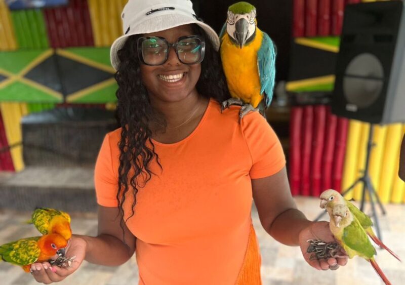 Animal & Bird Farm with Private Transport - Key Points