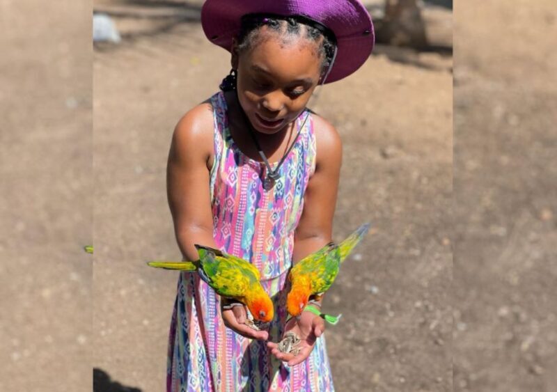 Animal & Bird Farm with Private Transport - A Closer Look at the Tour Experience