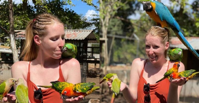 Animal & Bird Farm with Private Transport - Who Should Consider This Tour?