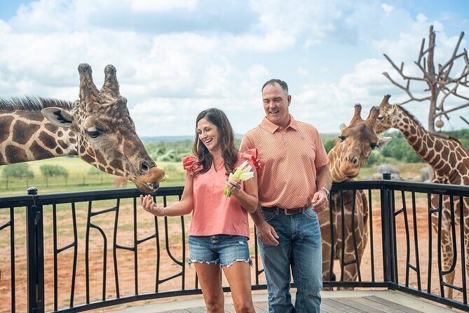 Animal Encounters - Location and Setting