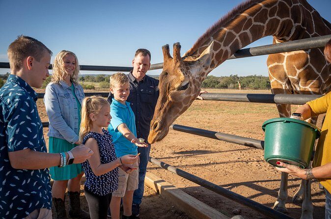 Animal Encounters - Price and Value