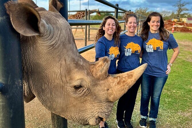 Animal Encounters - Practical Considerations