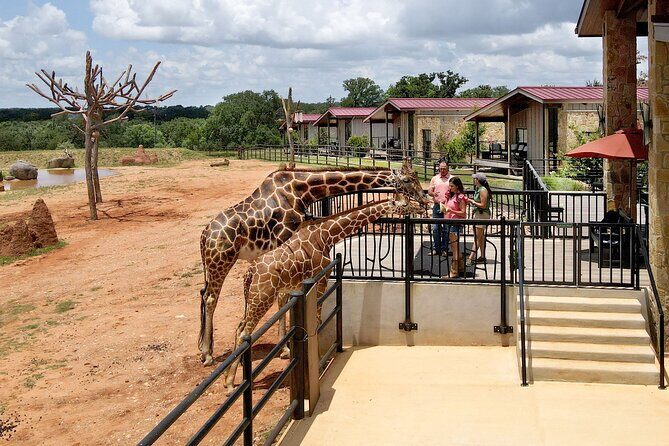 Animal Encounters - Authentic Perspectives from Visitors