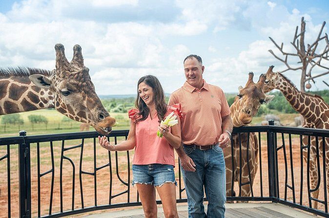 Animal Encounters - Final Thoughts