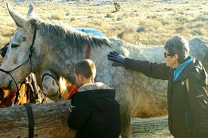 Animal Petting and Sunset Hike in Las Vegas - Who Is This Tour Best For?