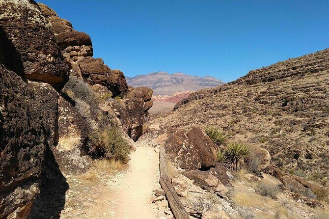 Animal Petting and Sunset Hike in Las Vegas - FAQ