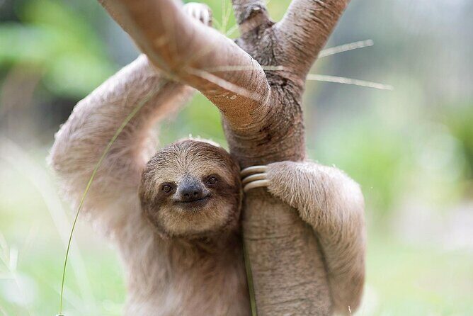 Animal Rescue center around San Jose - Experience tour - FAQ