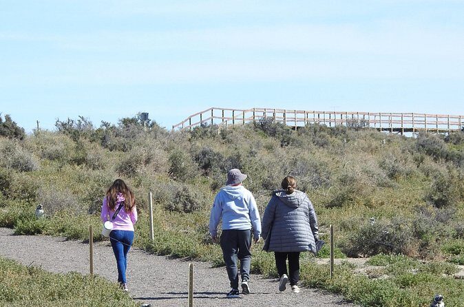 Animal watching in Punta Tombo and Isla Escondida - Frequently Asked Questions