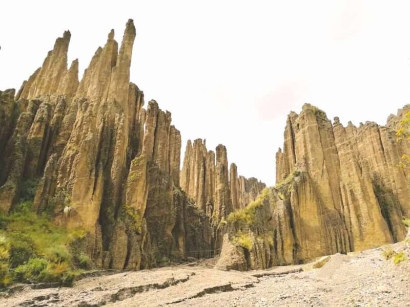 Animas Valley & Palca Canyon - Animas Valley & Palca Canyon: A Nature Lover’s Day Out near La Paz