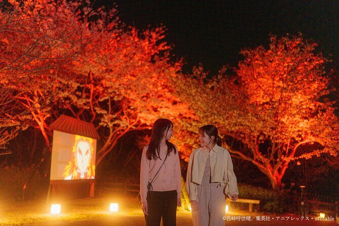 Anime Demon Slayer Night Walk Ticket - A Deeper Look at the Demon Slayer Night Walk Experience