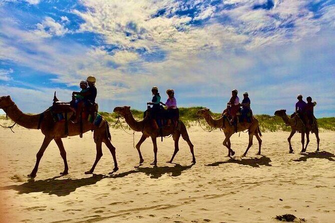 Anna Bay and Nelson Bay NSW tours like Dubai safari experience - Discover the Hidden Coastal Treasures of Anna Bay and Nelson Bay