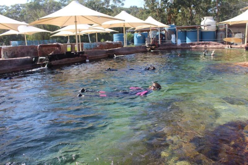 Anna Bay: Irukandji Entry + Coastal Currents Snorkel - Anna Bay: Irukandji Entry + Coastal Currents Snorkel — An Authentic Marine Adventure in New South Wales