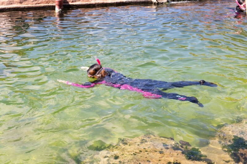 Anna Bay: Irukandji Entry Pass with Reef Shark Snorkel - Key Points