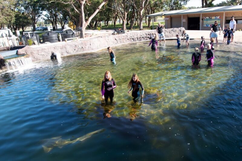 Anna Bay: Irukandji Entry Pass with Shallows Encounter - Who Should Consider This Tour?