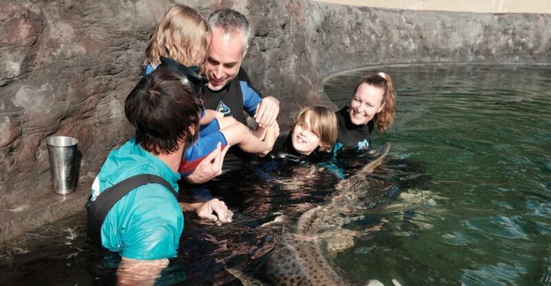 Anna Bay: Irukandji Entry Pass with Zebra Shark Encounter - The Sum Up