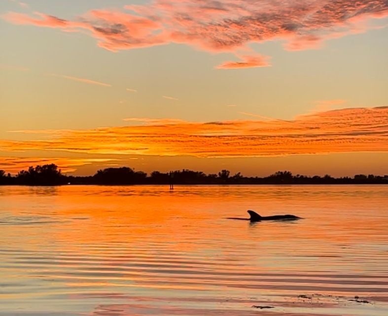 Anna Maria Island and Bradenton: Sunset Kayak Dolphin Tour - Key Points