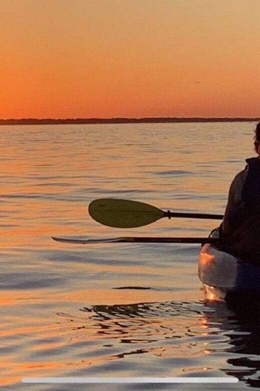 Anna Maria Island and Bradenton: Sunset Kayak Dolphin Tour - Who Will Love This Tour?