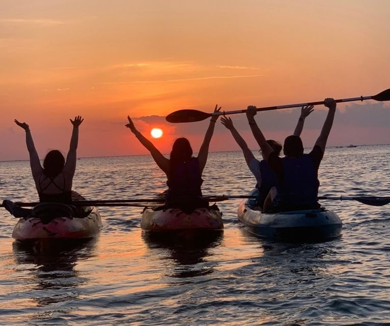 Anna Maria Island and Bradenton: Sunset Kayak Dolphin Tour - FAQ