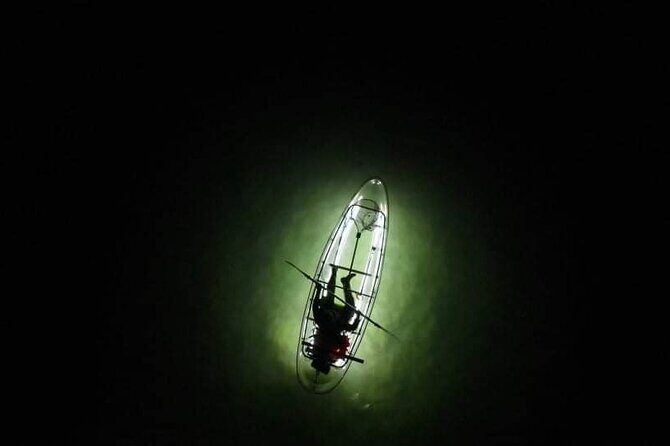 Anna Maria Island - Clear Kayak LED Night Glass Bottom Tour - Frequently Asked Questions