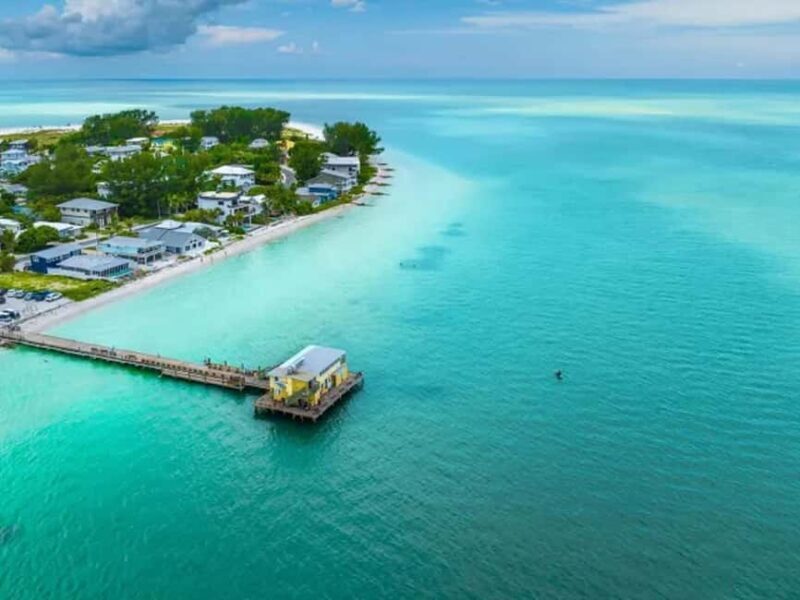 Anna Maria Island: Dolphin Cruise - Anna Maria Island: Dolphin Cruise – A Genuine Wildlife Encounter in Florida