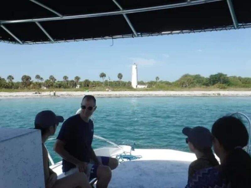 Anna Maria Island: Dolphin Cruise - The Sum Up