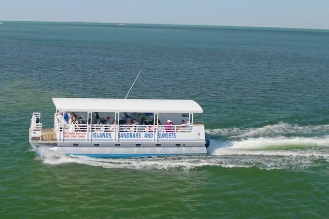 Anna Maria Island Dolphin Sightseeing Adventure - Discover the Magic of Anna Maria Island Dolphin Sightseeing Adventure