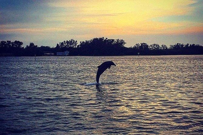 Anna Maria Island Dolphin Sunset Boat Tour - In-Depth Review of the Anna Maria Island Dolphin Sunset Boat Tour