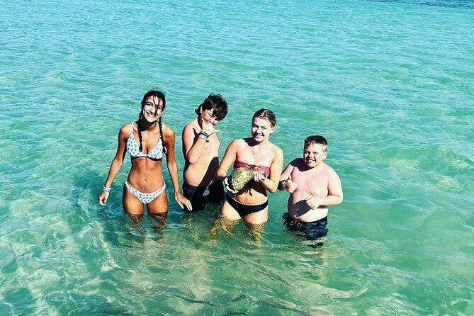 Anna Maria Island Dolphins & Beginners Snorkeling Adventure 3hrs - What Real Travelers Say