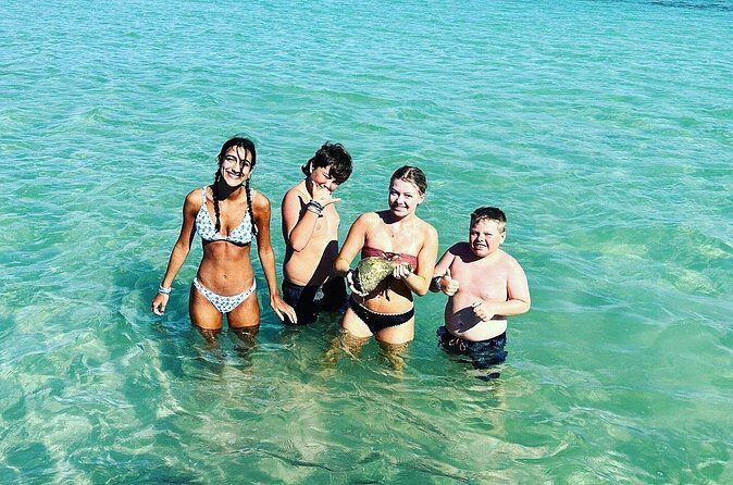 Anna Maria Island Dolphins & Beginners Snorkeling Adventure 3hrs - FAQs